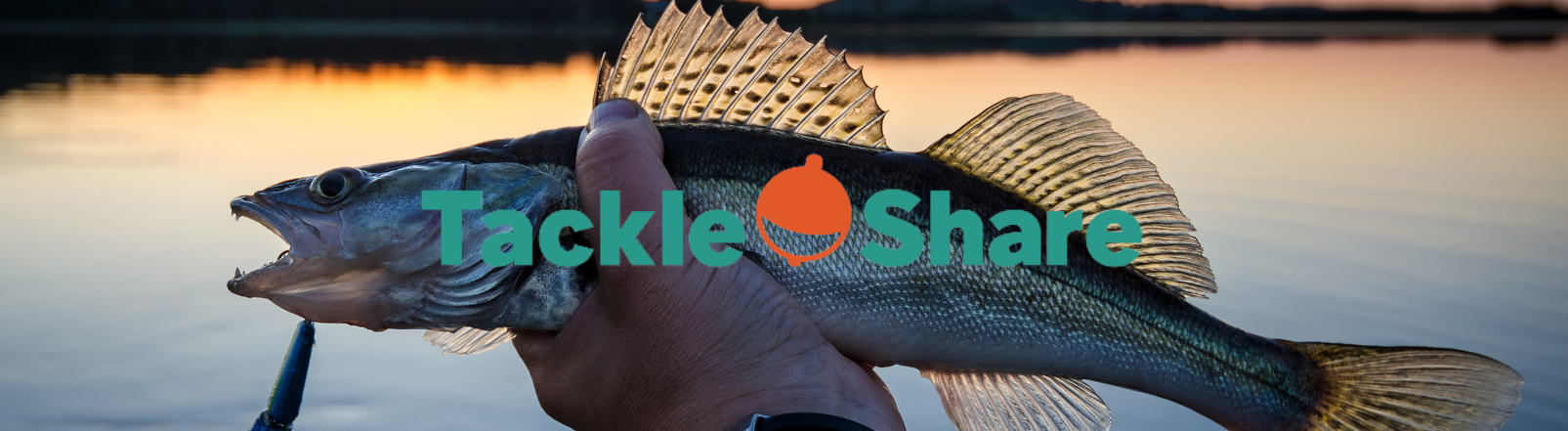 Tackleshare logo with a walleye in the background